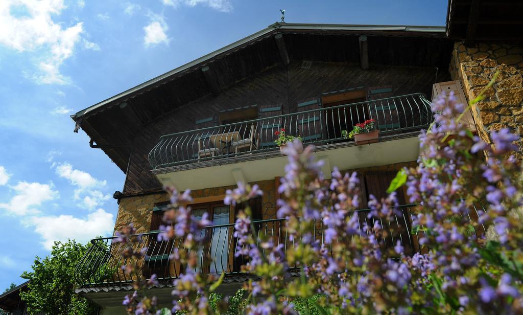 Chalet Genepi Montriond Exterior photo